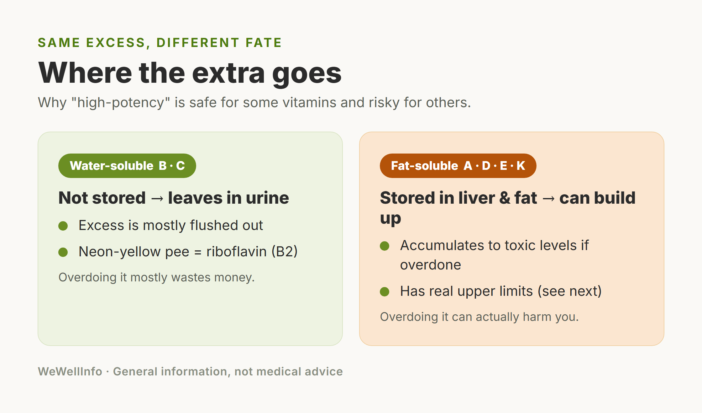 Infographic contrasting water-soluble vitamins excreted in urine with fat-soluble vitamins stored in the liver and fat