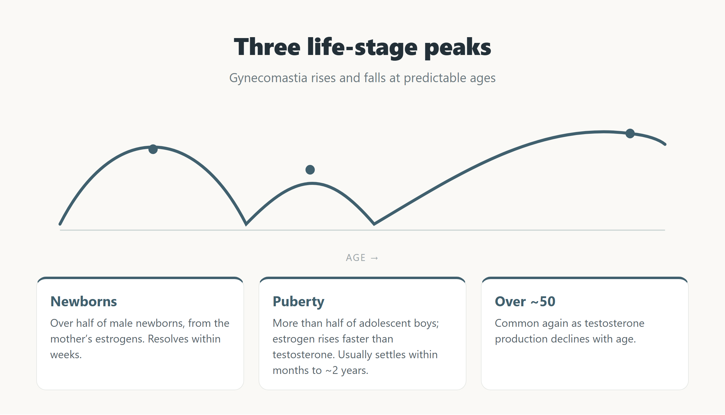Curve chart showing three life-stage peaks of gynecomastia — newborn, puberty, and after about age 50