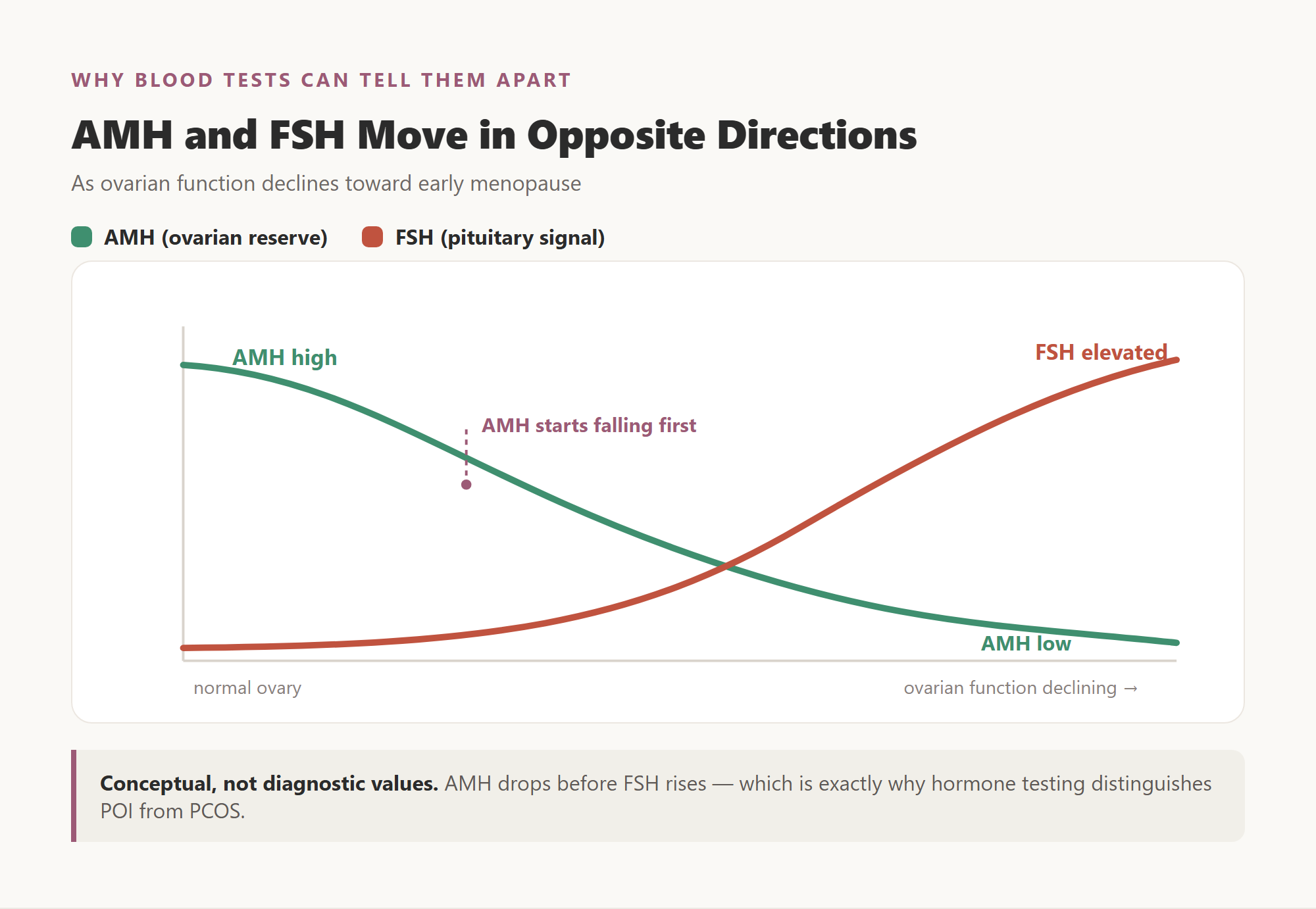 Concept diagram showing AMH falling and FSH rising as ovarian function declines, with AMH dropping before FSH rises