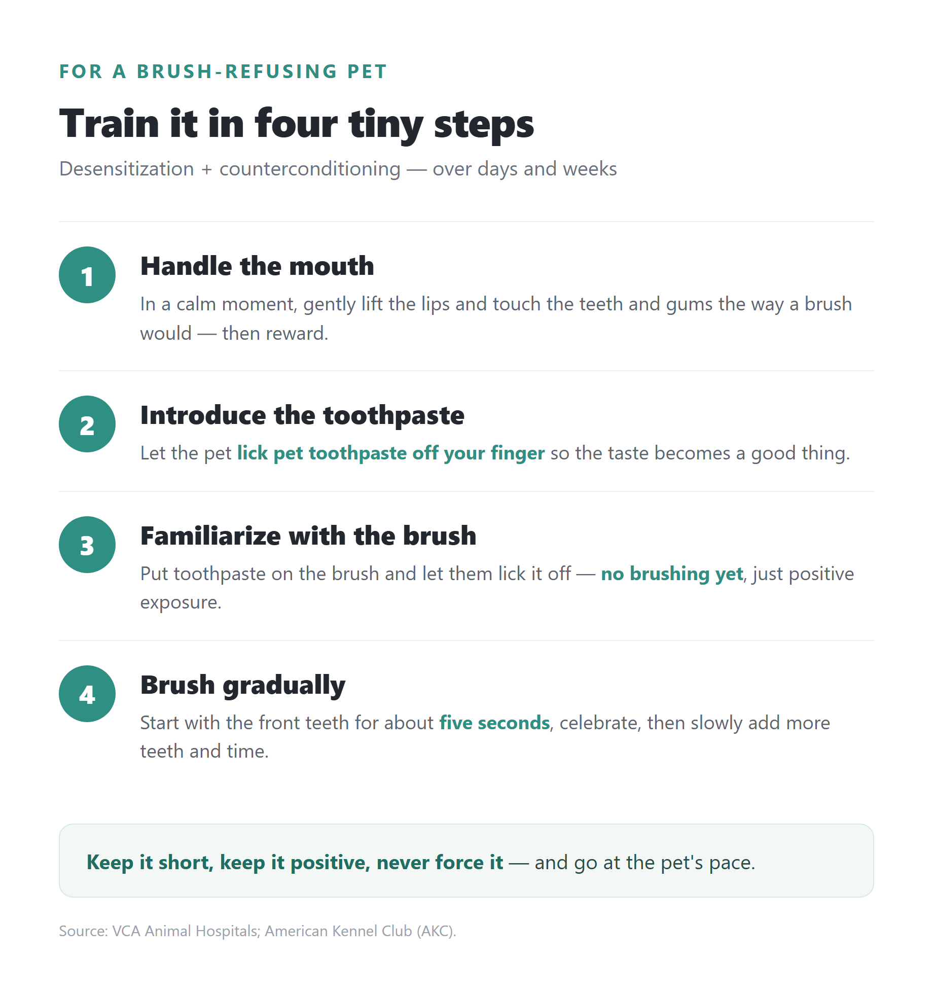Four-step flow for training a brush-refusing pet: handle the mouth, introduce the toothpaste, familiarize with the brush, then brush gradually