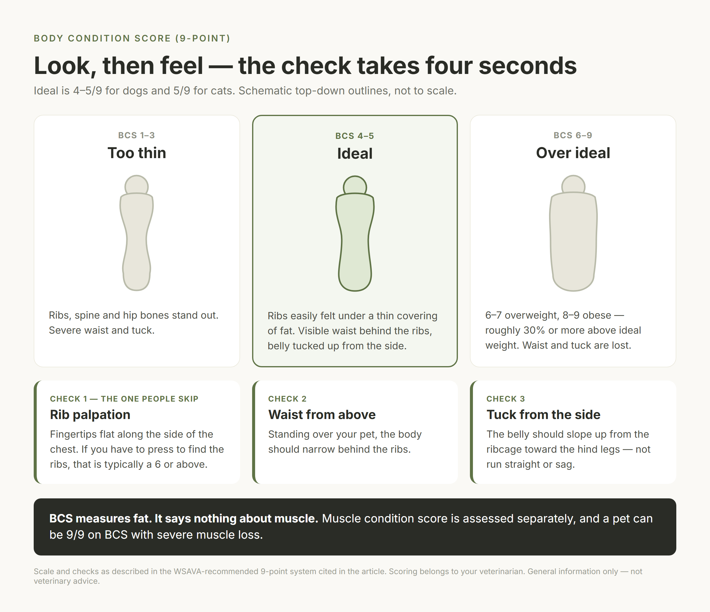 Body condition score card with schematic top-down outlines for too thin, ideal and over ideal, plus the three checks: rib palpation, waist from above and tuck from the side