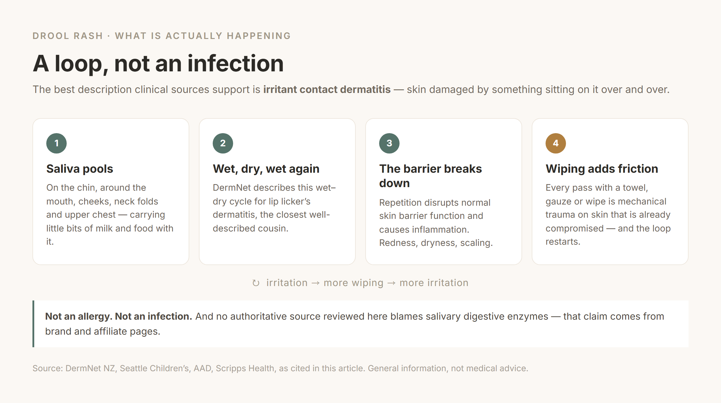 Four-step diagram of the drool rash loop: saliva pools on the chin, the skin wets and dries repeatedly, the skin barrier breaks down, and wiping adds friction that restarts the cycle