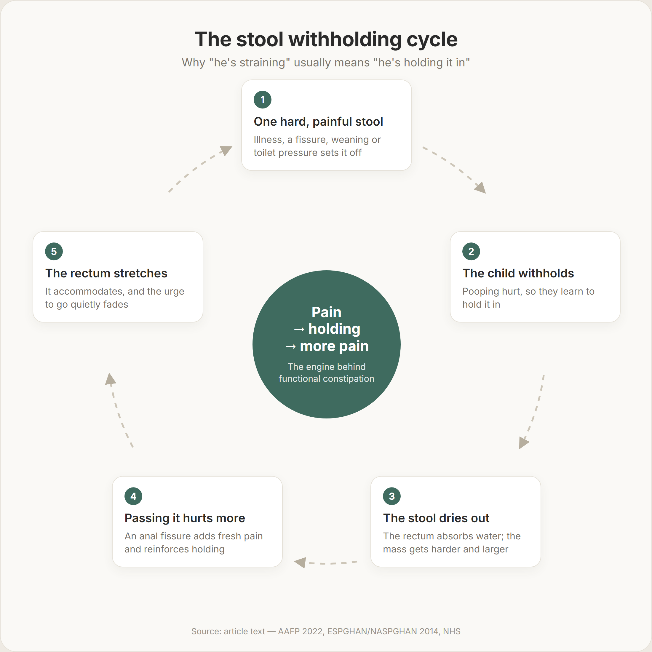 Circular diagram of the stool withholding cycle: one hard painful stool, the child withholds, the retained stool dries out, passing it hurts more, and the rectum stretches until the urge to go fades