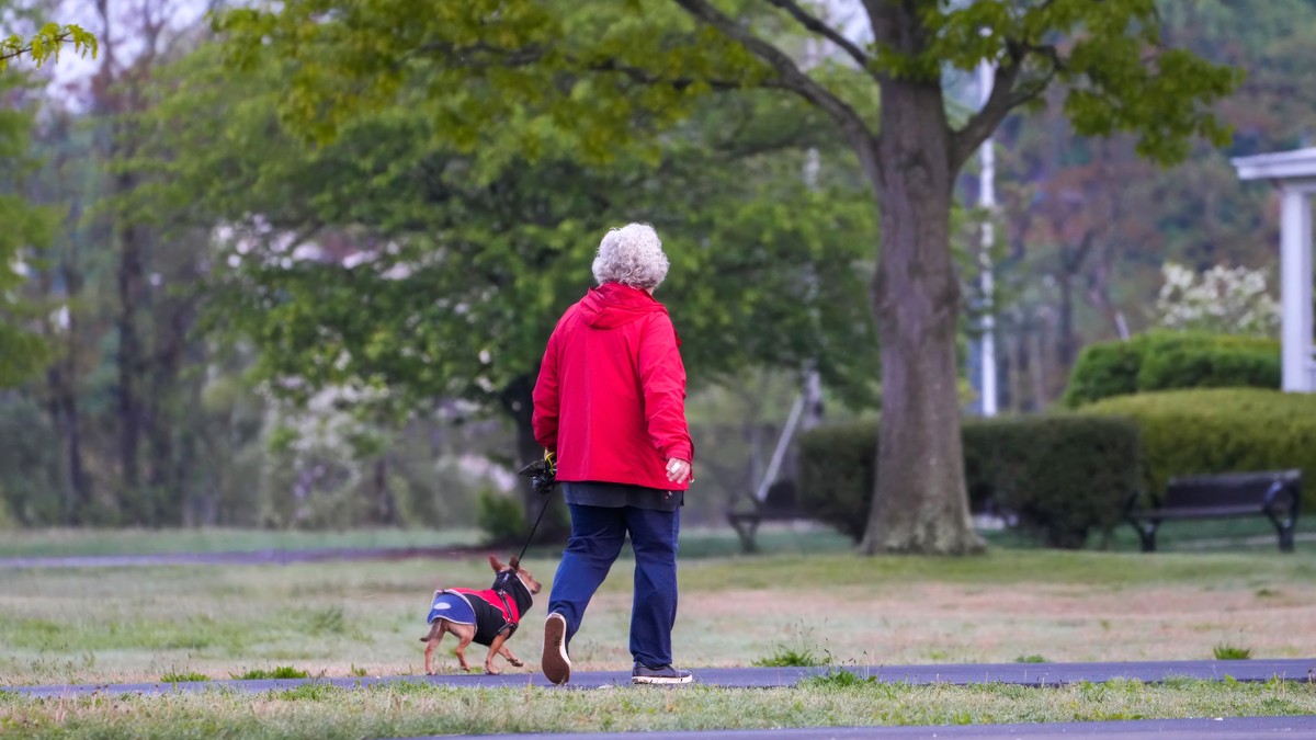 An older woman walking her small dog along a path in a green park on a bright day