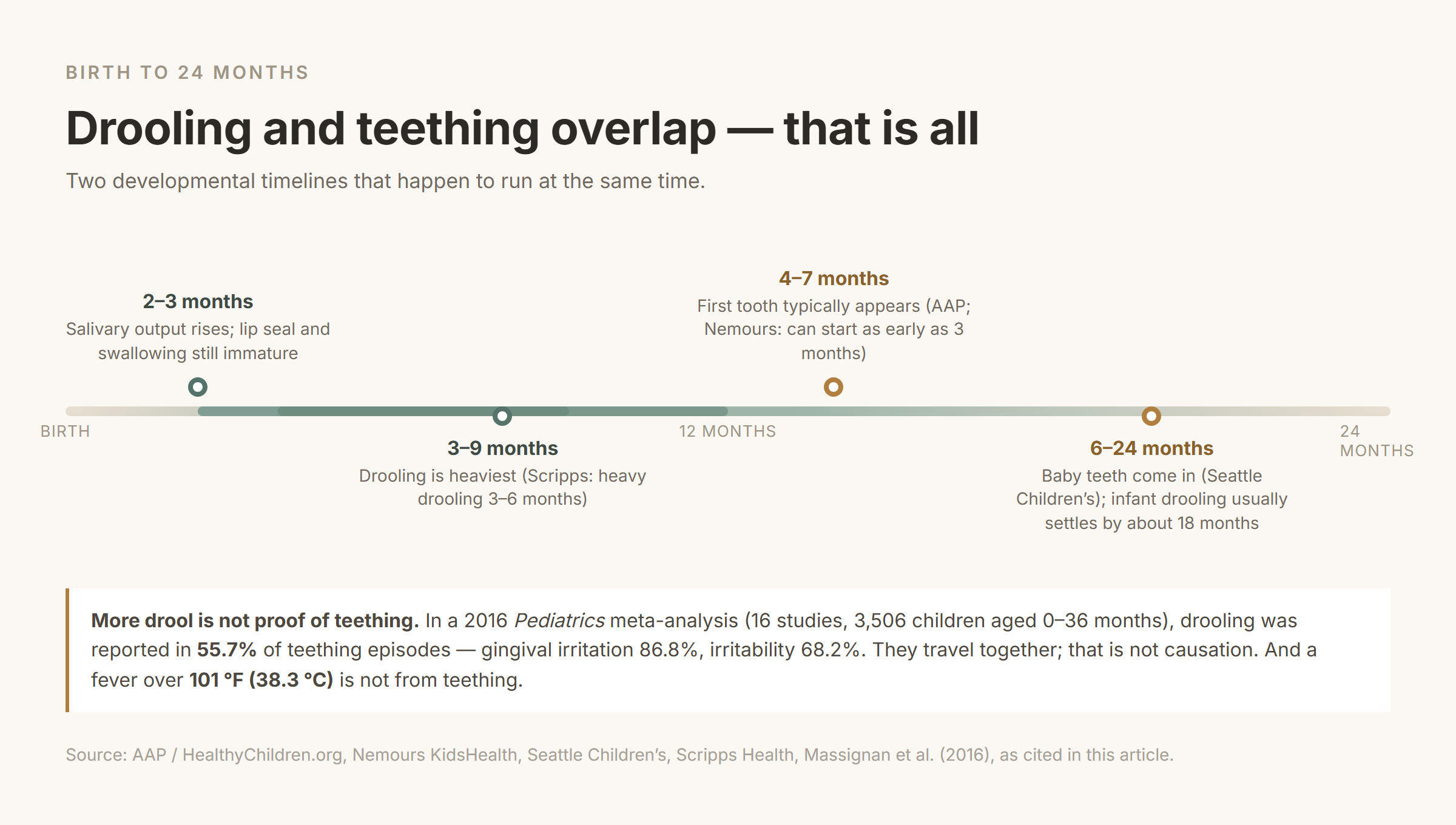 Timeline from birth to 24 months: saliva production rises at 2 to 3 months, drooling is heaviest from 3 to 9 months, and the first tooth typically appears at 4 to 7 months