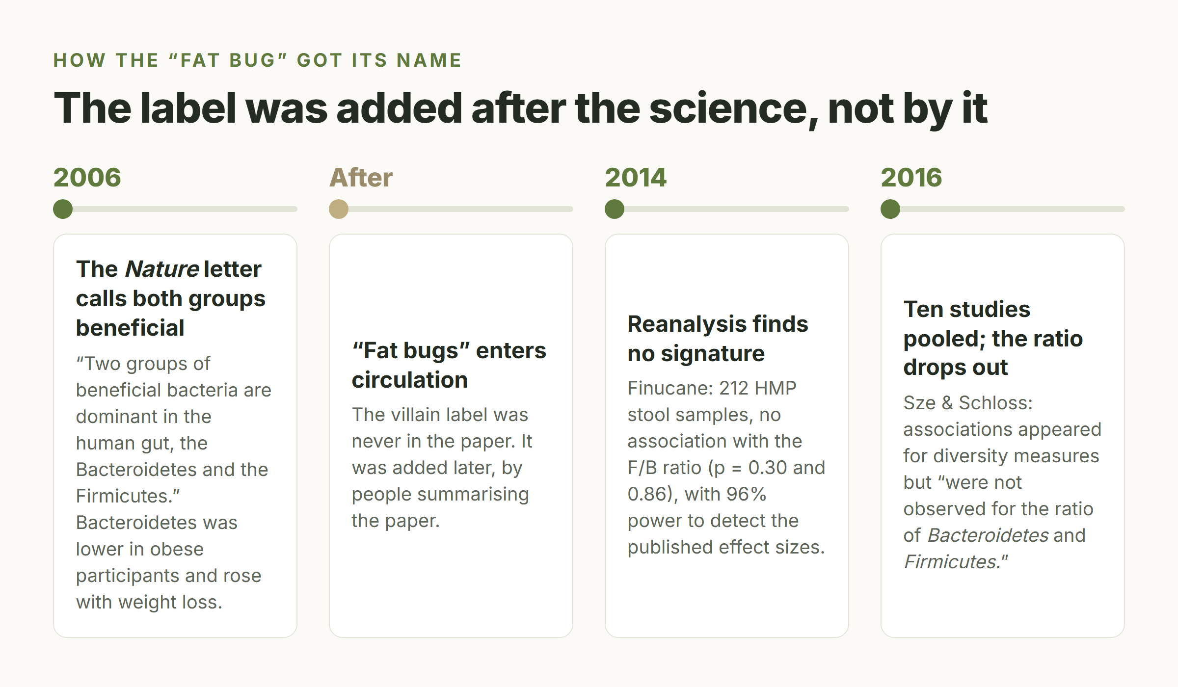 Timeline of the fat-bug idea: the 2006 Nature letter calling both phyla beneficial, the label added afterwards, the 2014 reanalysis finding no signature and the 2016 pooled analysis dropping the ratio