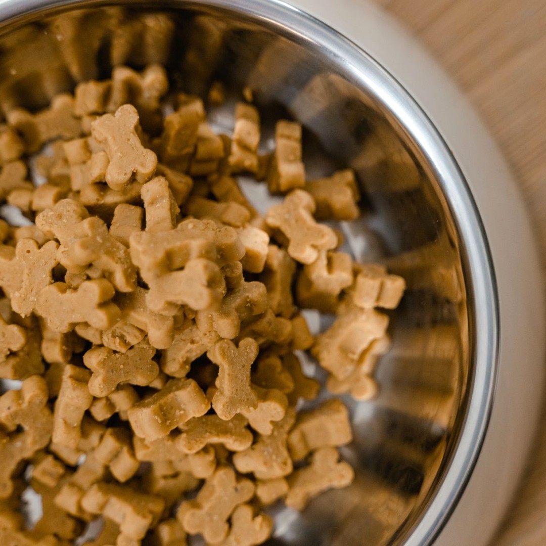 Small bone-shaped dog biscuits in a stainless steel bowl on a wooden surface