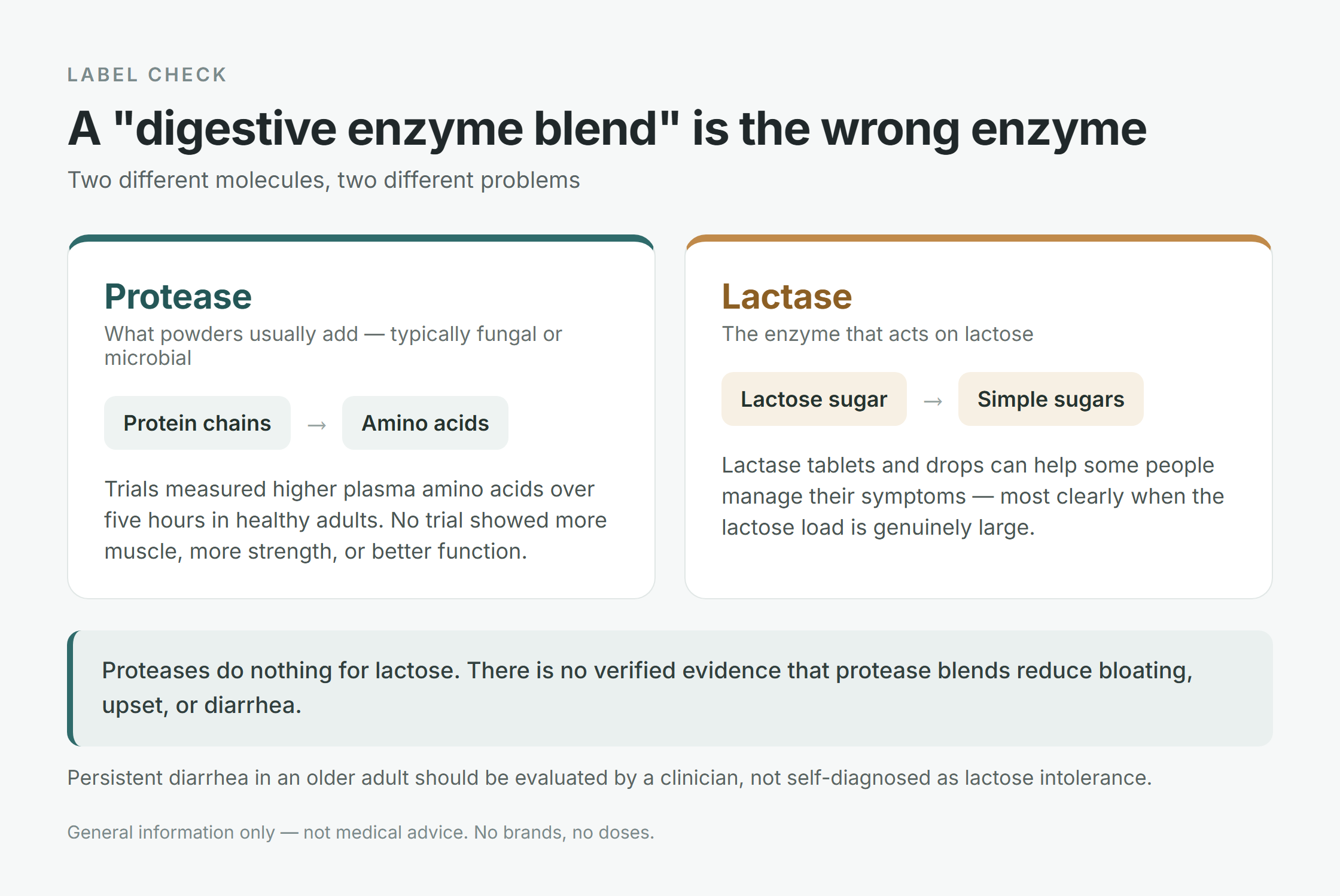 Two separate labeled pathways side by side: protease turning protein chains into amino acids, and lactase turning lactose sugar into simple sugars, under a line stating that proteases do nothing for lactose