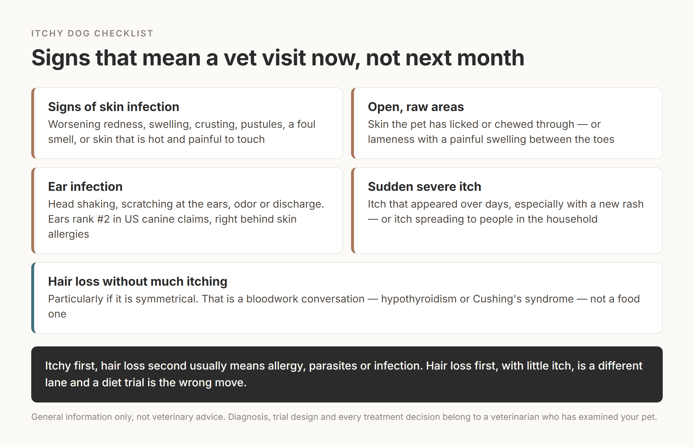 Checklist card of five signs that warrant a prompt veterinary visit for an itchy pet: skin infection, open raw areas, ear infection, sudden severe itch, and hair loss without much itching