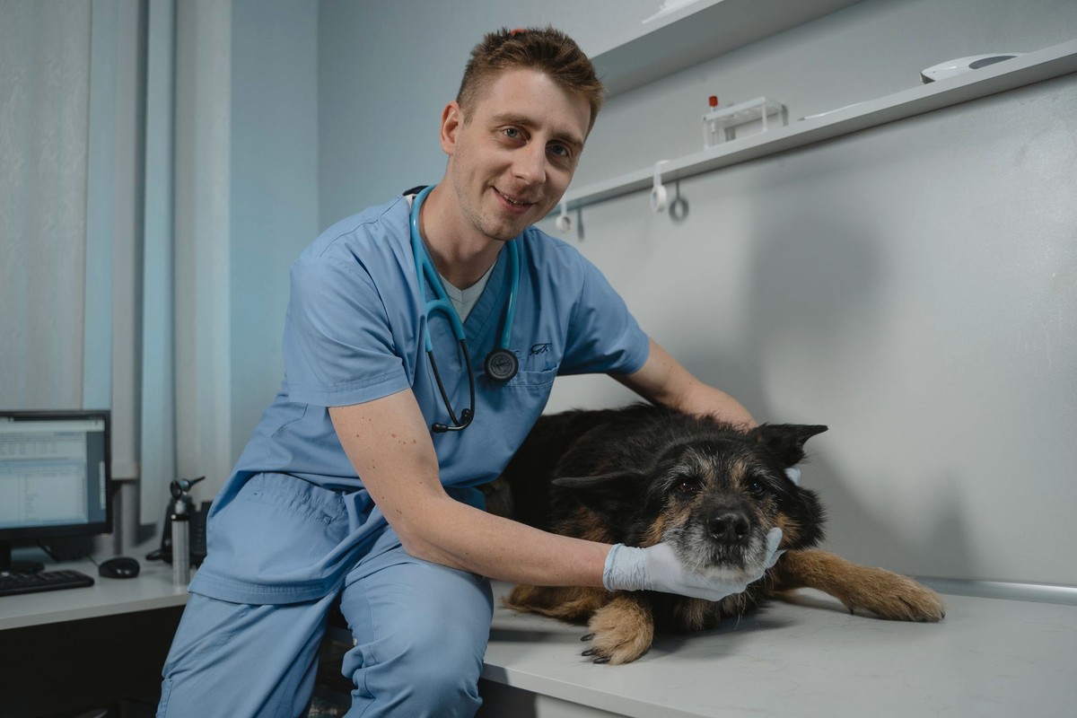 A smiling veterinarian in scrubs sitting beside a relaxed older dog on an exam table in a bright clinic