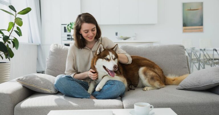 Pet Dental Care at Home: What Brushing Can and Can't Do