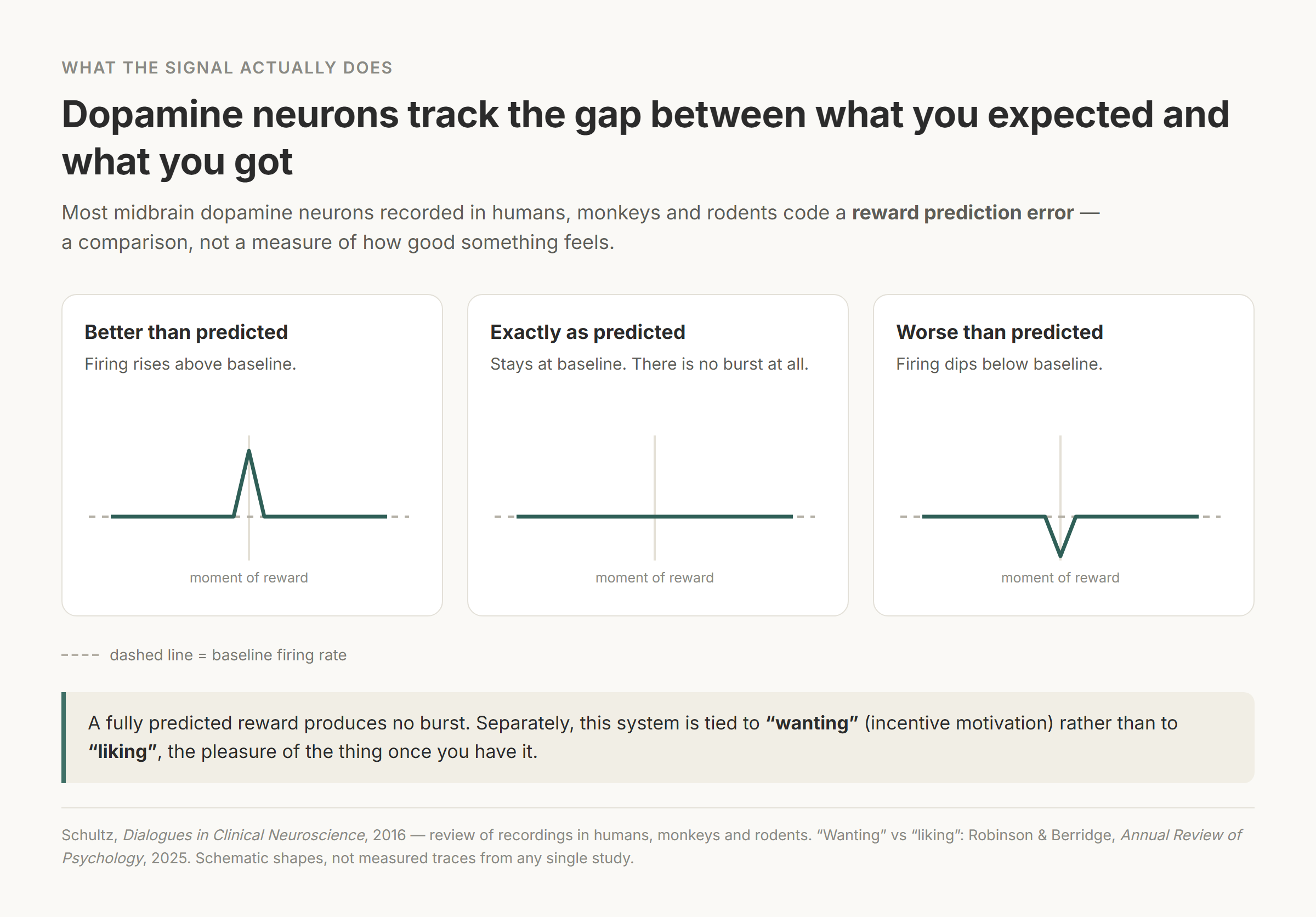 Three-panel schematic of a dopamine reward prediction error: firing rises above the baseline when a reward is better than predicted, stays flat on the baseline when the reward is exactly as predicted, and dips below the baseline when it is worse than predicted (Schultz, Dialogues in Clinical Neuroscience, 2016, a review of recordings in humans, monkeys and rodents)