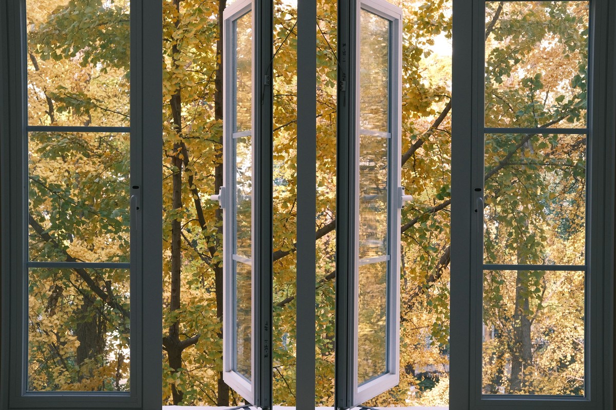 Two casement window sashes swung wide open onto sunlit autumn trees, the brief purposeful airing you take when the number dips