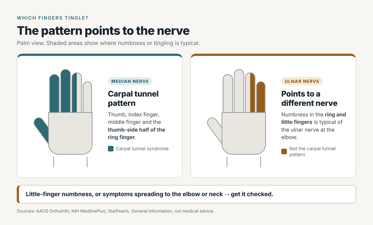 Two palm-view hand diagrams. Median nerve, the carpal tunnel pattern: thumb, index finger, middle finger and the thumb-side half of the ring finger shaded. Ulnar nerve, pointing to a different nerve: the little finger and the little-finger side of the ring finger shaded, typical of the ulnar nerve at the elbow. Footer: little-finger numbness, or symptoms spreading to the elbow or neck - get it checked