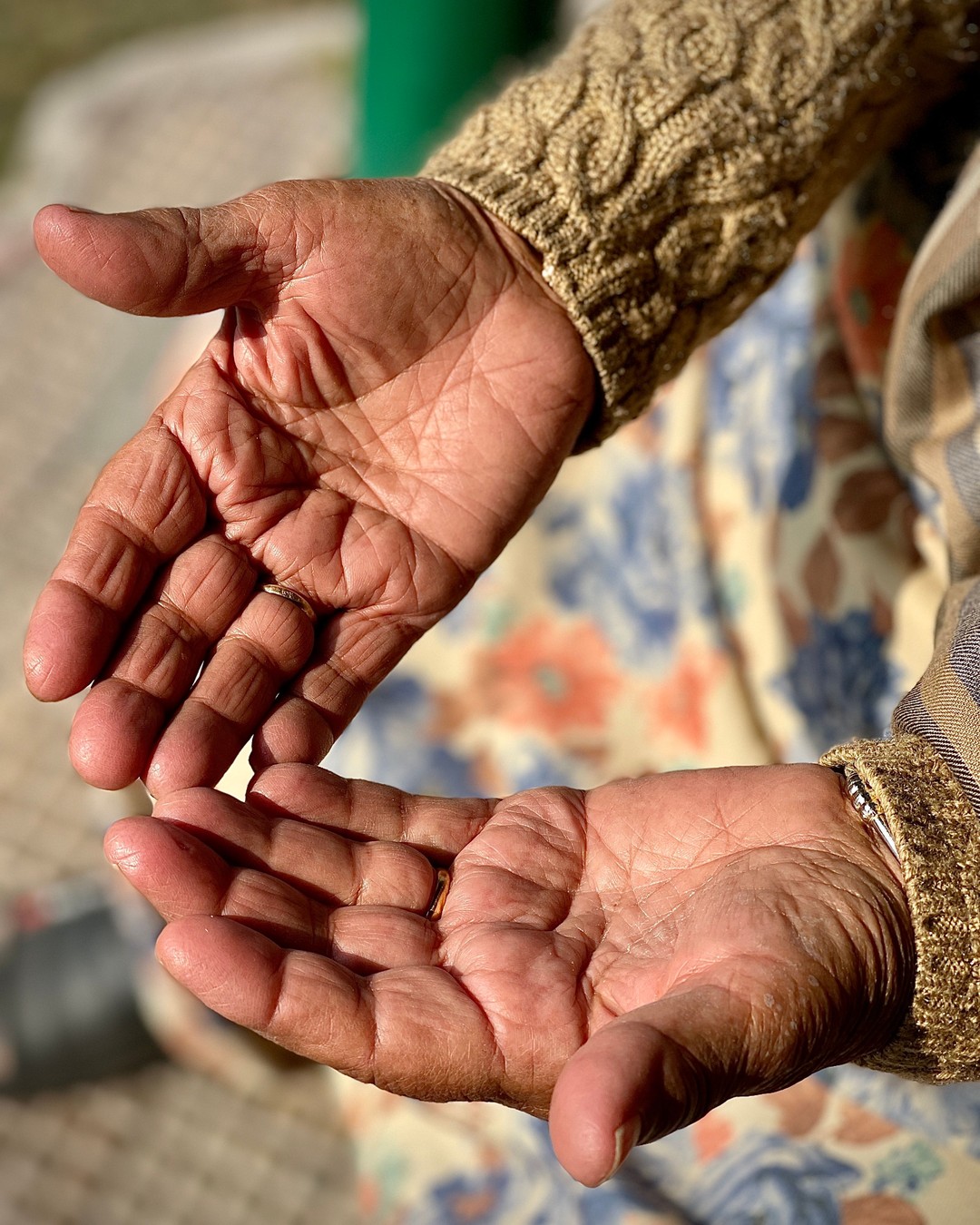 An older person's open hands, palms up, in warm afternoon sunlight