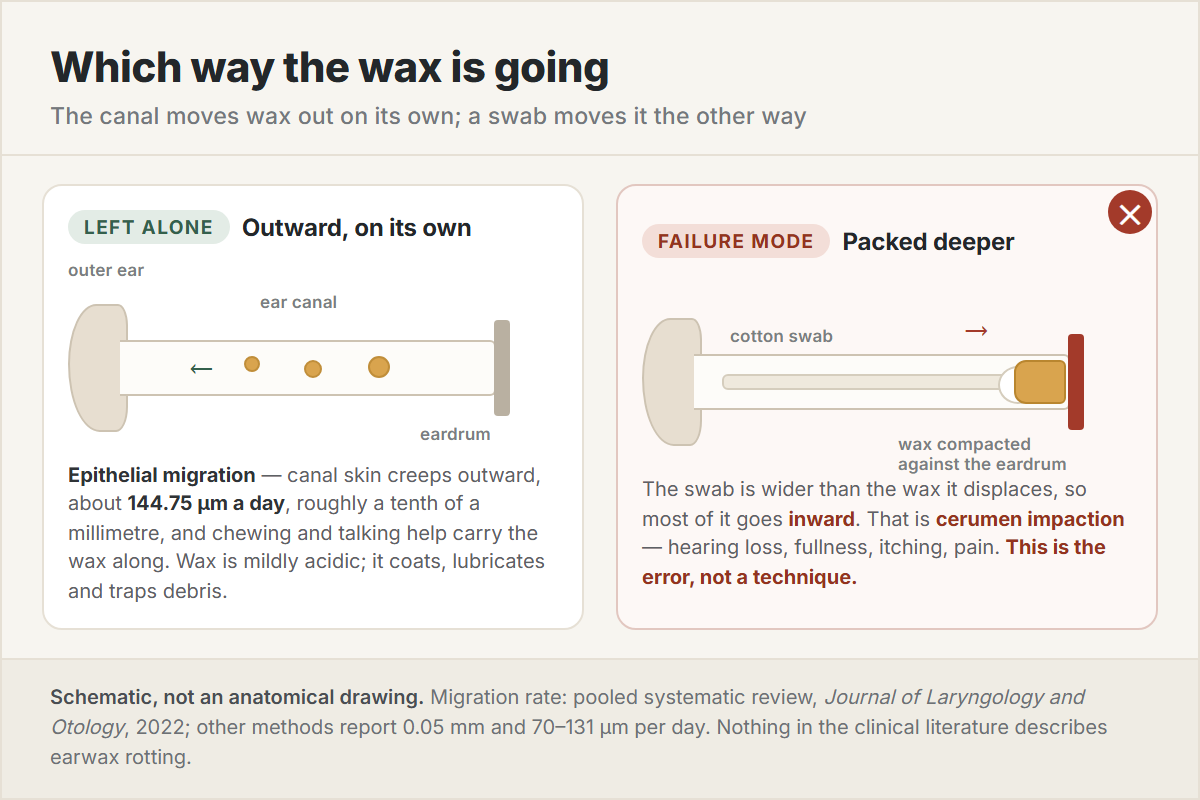 Diagram comparing the ear canal carrying wax outward on its own with a cotton swab packing wax against the eardrum, the second panel marked with a cross as the failure mode