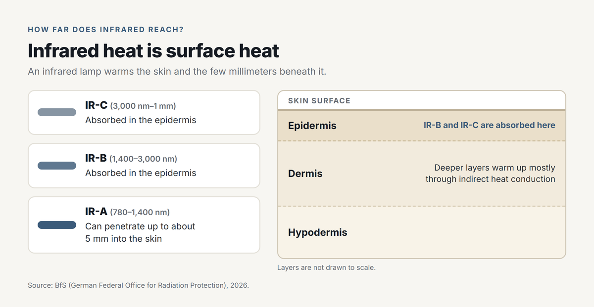 Skin layer diagram (epidermis, dermis, hypodermis; not drawn to scale) based on BfS 2026: IR-C (3,000 nm to 1 mm) and IR-B (1,400 to 3,000 nm) are absorbed in the epidermis, IR-A (780 to 1,400 nm) can penetrate up to about 5 mm into the skin, and deeper layers warm up mostly through indirect heat conduction