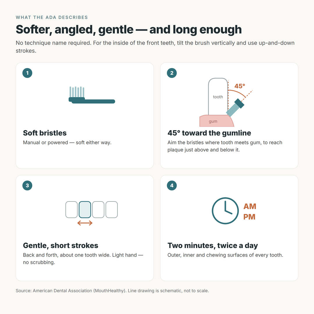 Four-step card of the ADA's brushing advice: soft bristles, bristles angled 45 degrees toward the gumline, gentle short tooth-wide strokes, and two minutes twice a day