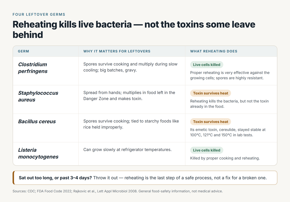 Four leftover germs and what reheating does to each. Clostridium perfringens: spores survive cooking and multiply during slow cooling in big batches and gravy - live cells killed, spores highly resistant. Staphylococcus aureus: spread from hands, multiplies in food left in the Danger Zone and makes toxin - toxin survives heat. Bacillus cereus: spores survive cooking, tied to starchy foods like rice held improperly - its emetic toxin cereulide stayed stable at 100C, 121C and 150C in lab tests. Listeria monocytogenes: can grow slowly at refrigerator temperatures - killed by proper cooking and reheating. Headline: reheating kills live bacteria, not the toxins some leave behind. Footnote: sat out too long, or past 3 to 4 days? Throw it out - reheating is the last step of a safe process, not a fix for a broken one