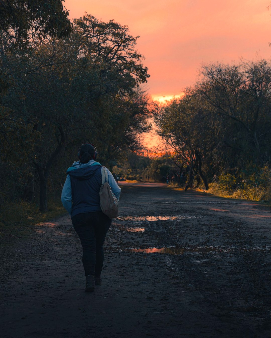 A person walking away along a tree-lined dirt path under an orange evening sky, seen from behind