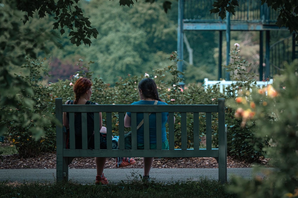 Two people sitting together on a park bench in a rose garden, talking, seen from behind